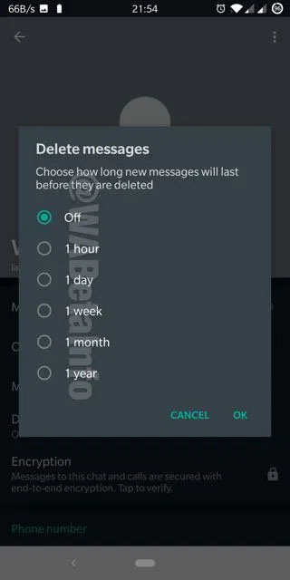 WhatsApp pode ganhar recurso de mensagens autodestrutivas em breve