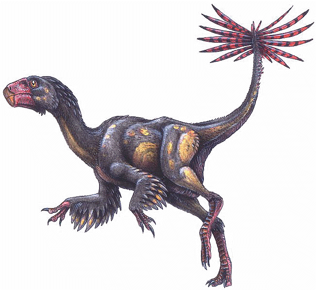 Caudipteryx_zoui