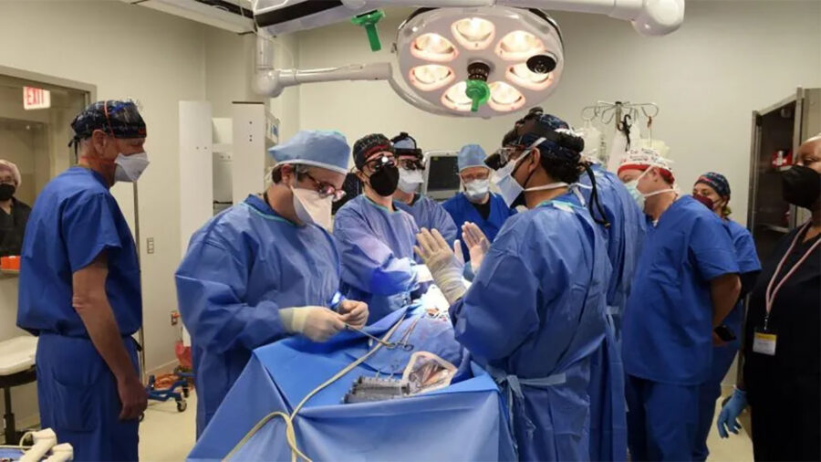 Paciente dos Estados Unidos recebe coração de um porco