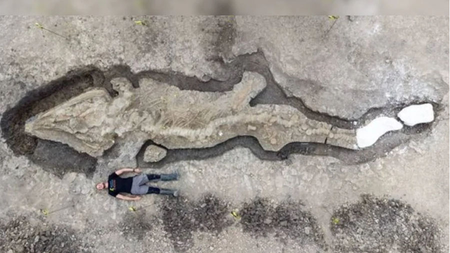 Fóssil gigante de “Dragão-marinho” é encontrado no Reino Unido