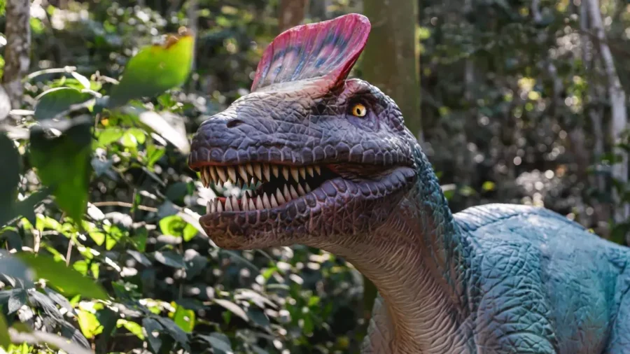 Rio de Janeiro inaugura maior parque de dinossauro do mundo