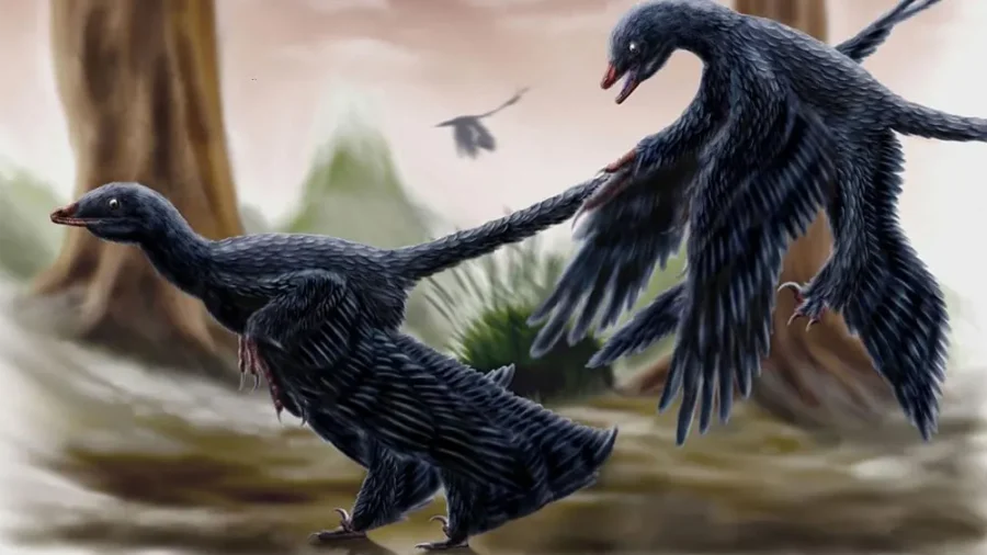 Cientistas encontram primeira evidência de um dinossauro comendo um mamífero