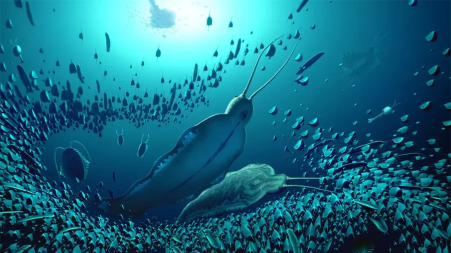 Verme predador ‘gigante’ de meio bilhão de anos é descoberto na Groenlândia