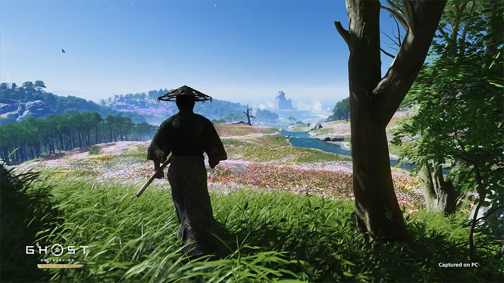 Ghost of Tsushima Director's Cut