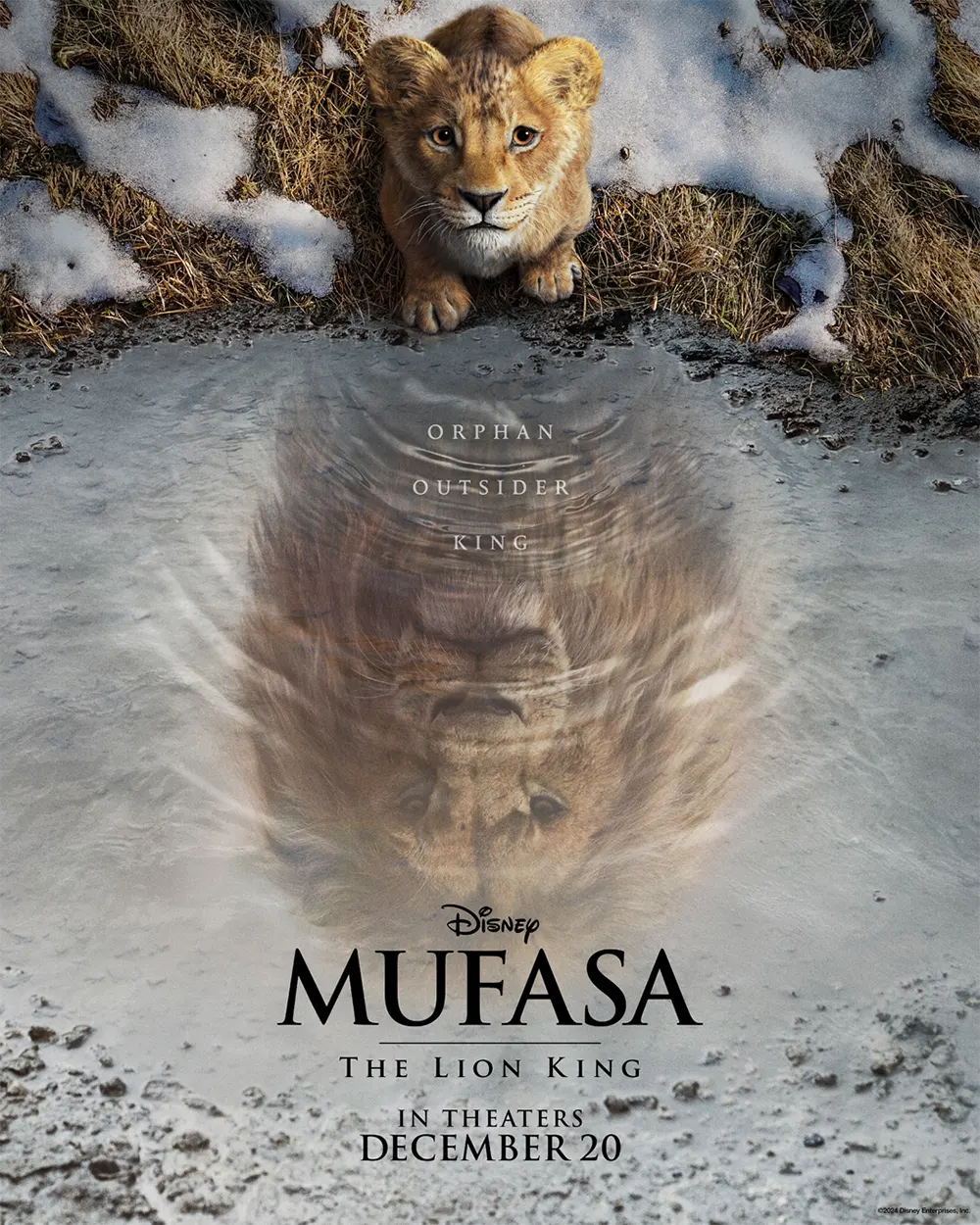 Poster Mufasa - O Rei Leão