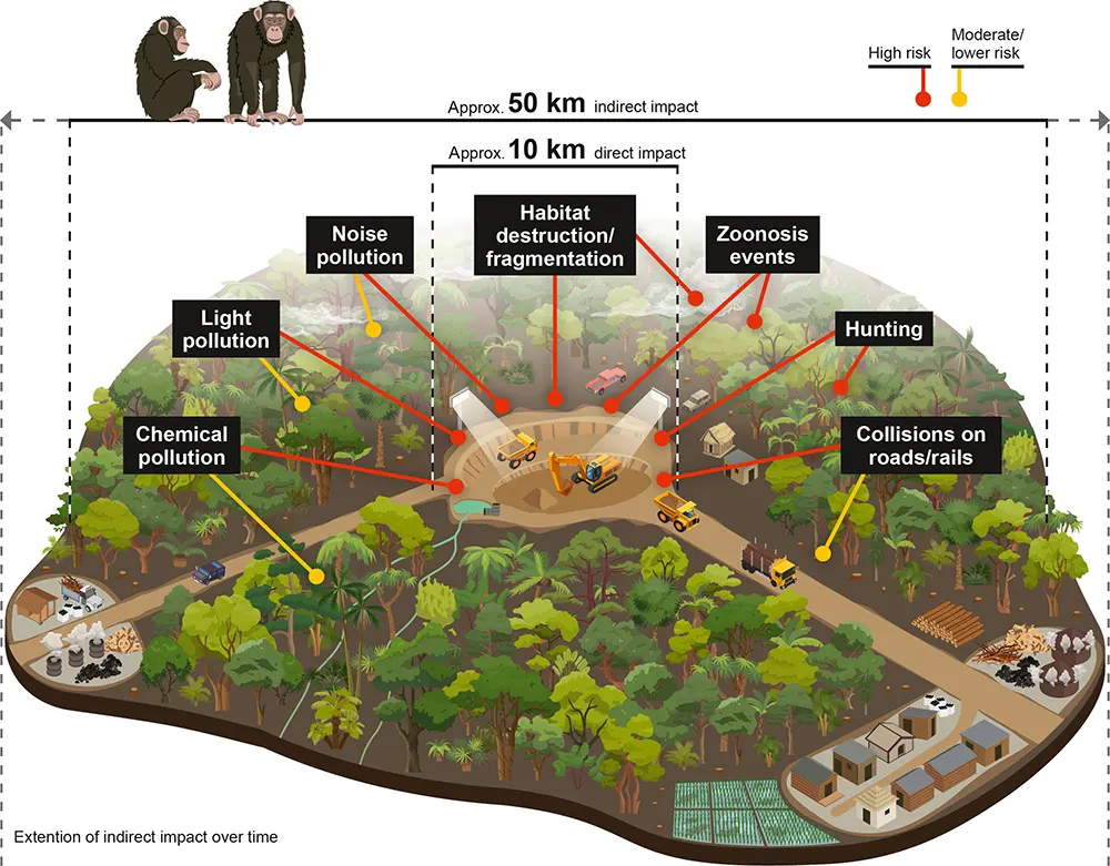 Visão geral esquemática das ameaças potenciais aproximadas diretas (10 km) e indiretas (50 km) sobre macacos ligados a atividades de mineração.