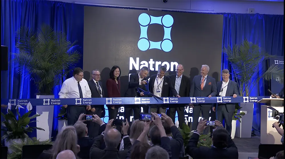 Natron Energy Aktie