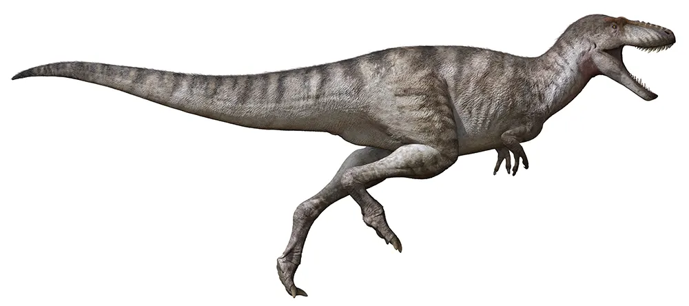 Asiatyrannus xui