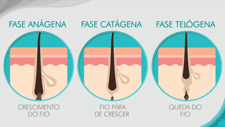 Ciclo de crescimento do cabelo