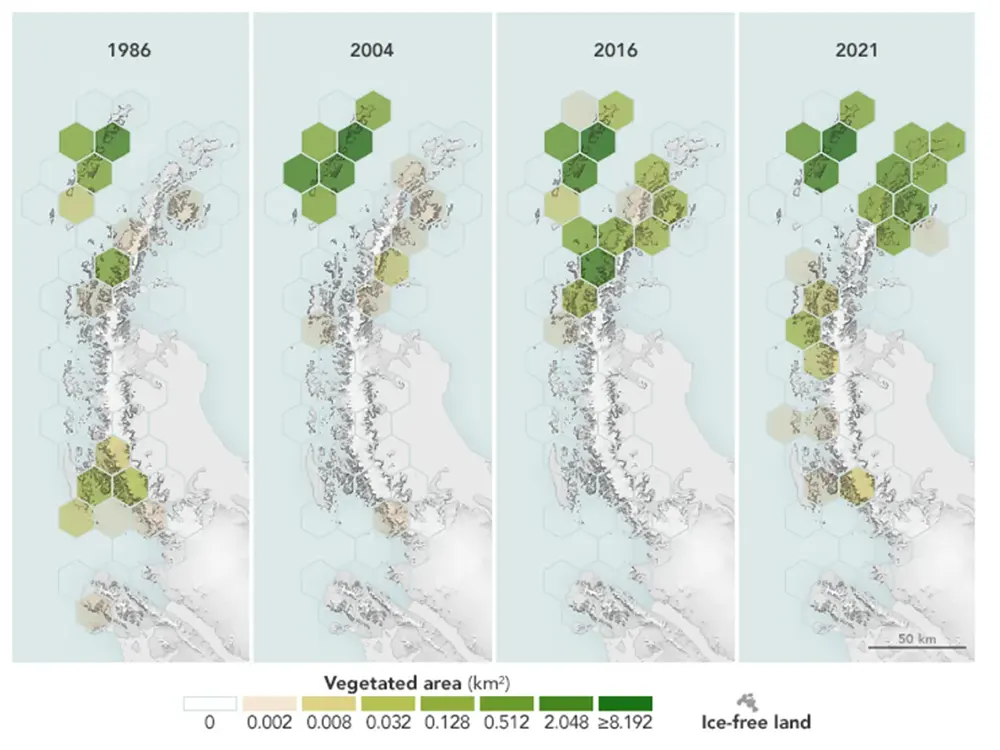 Avanço da vegetação na Antártida