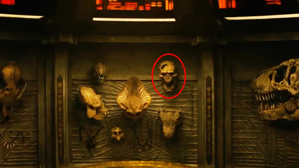 Crânio do híbrido xenomorfo-humano