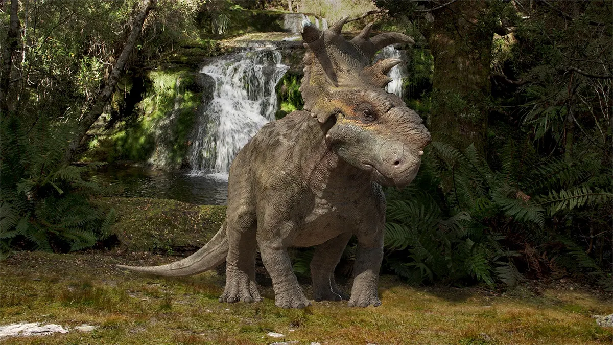 Pachyrhinosaurus