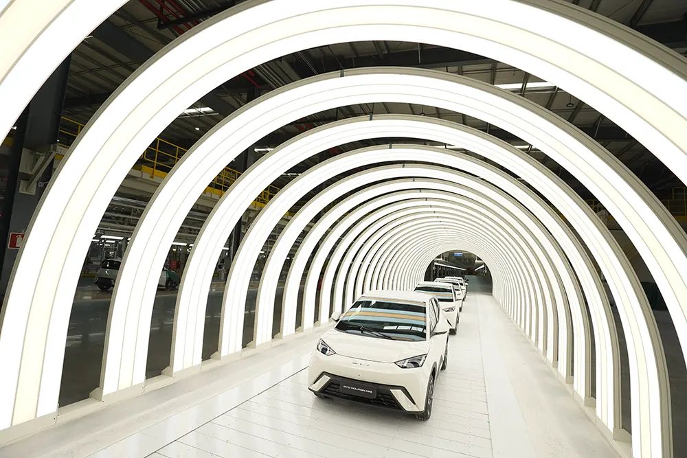 Dolphin Mini 100% brasileiro