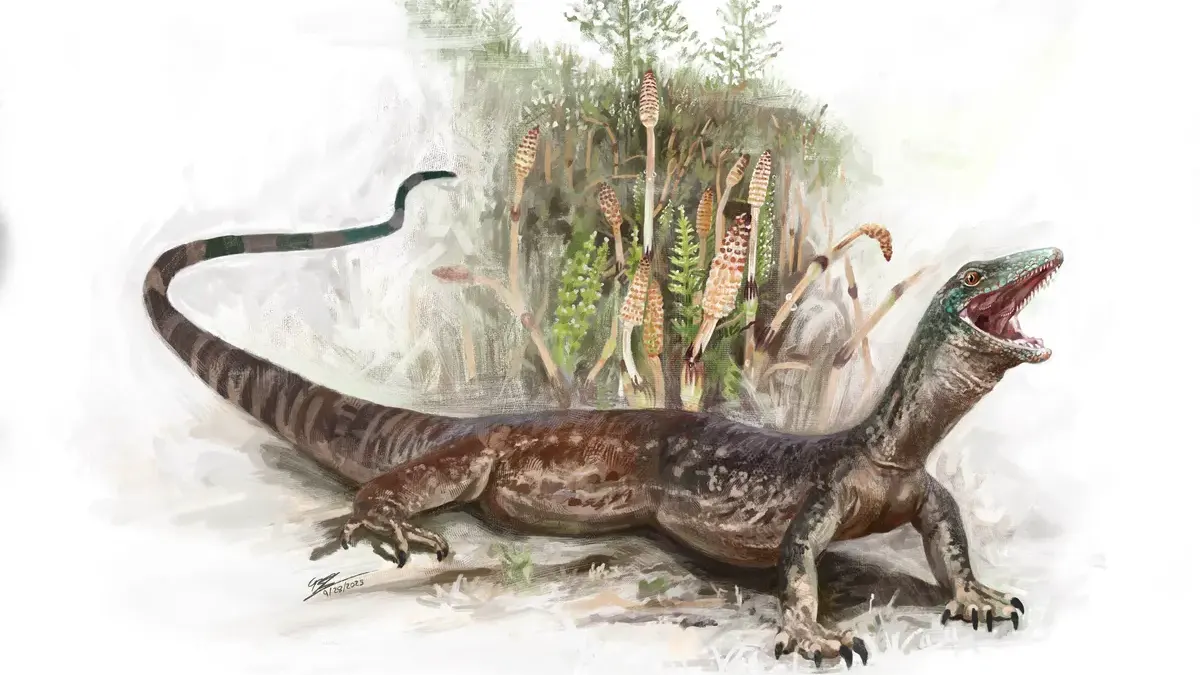 Breugnathair elgolensis