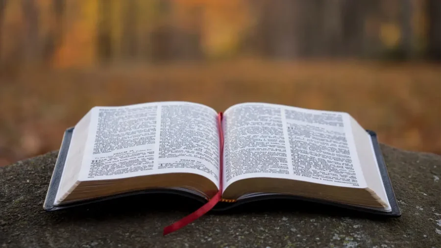 Como um erro na Bíblia de 1525 ajudou a criar as fronteiras do mundo moderno