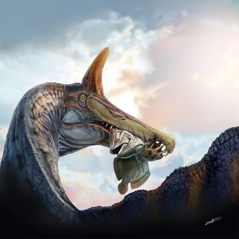 Spinosaurus mirabilis