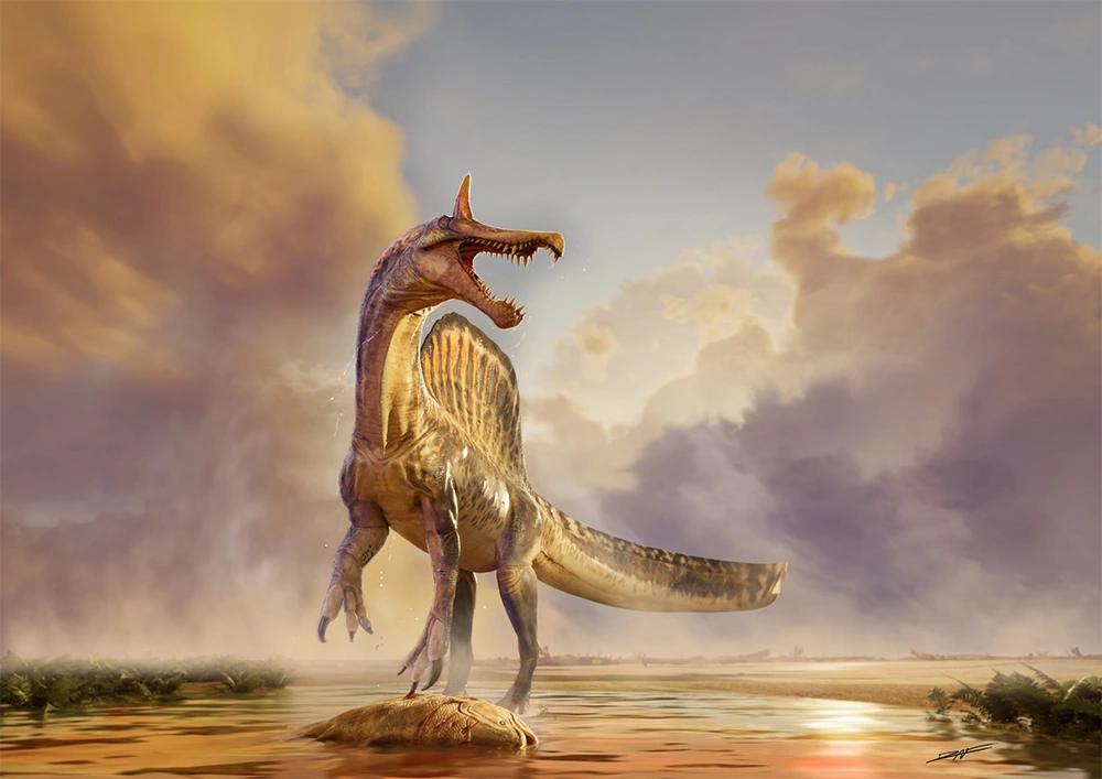 Spinosaurus mirabilis
