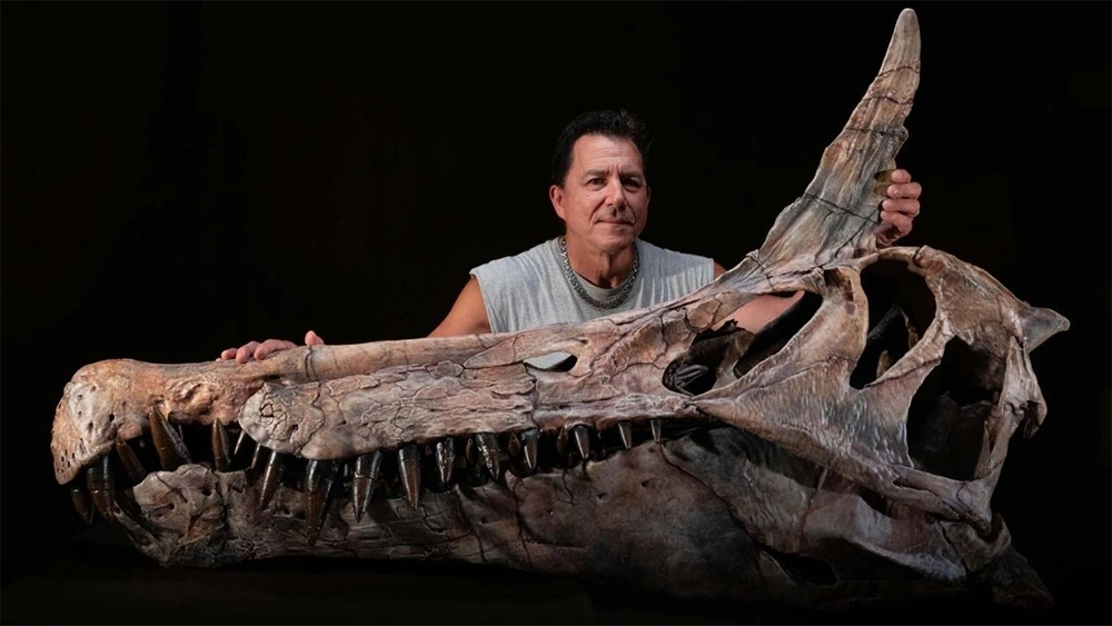 crânio Spinosaurus mirabilis