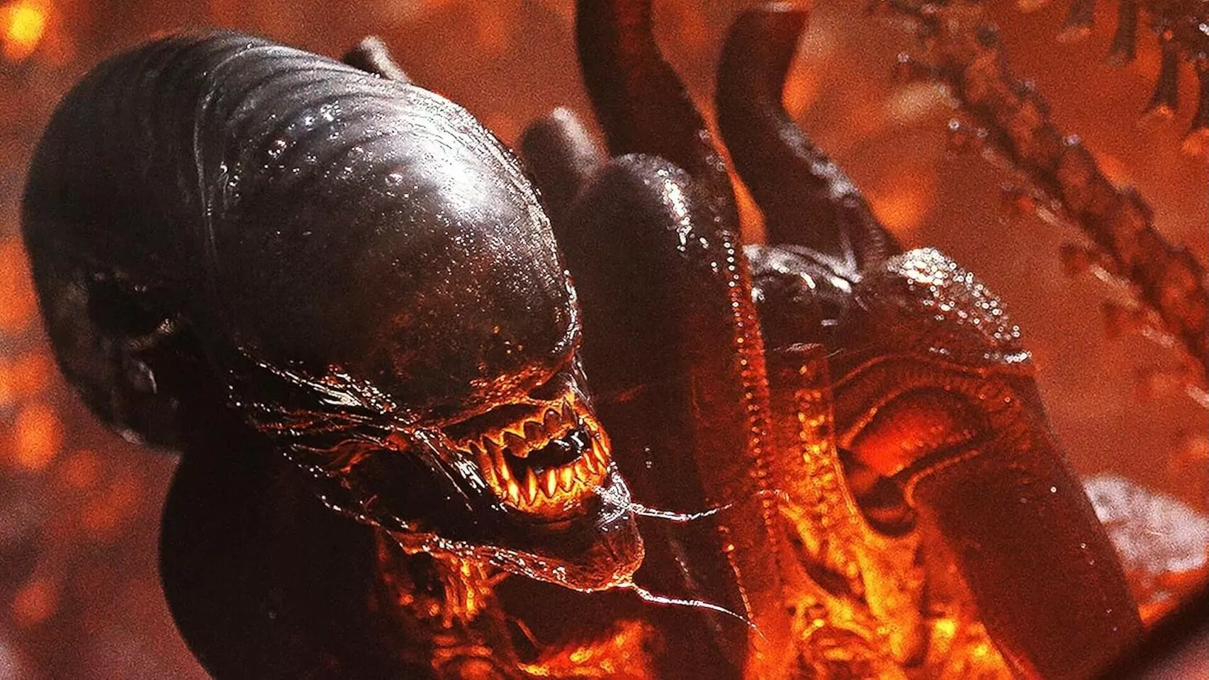 alien romulus